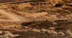 点燃全场！刘铮反击三分不中，威尔逊高高跃起完成暴力补扣